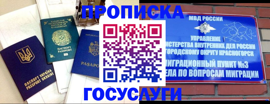 купить прописку в Новороссийске